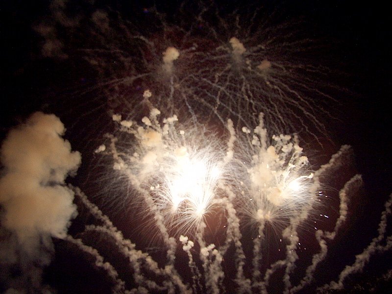p8020024.jpg