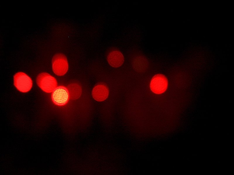 p8020039.jpg