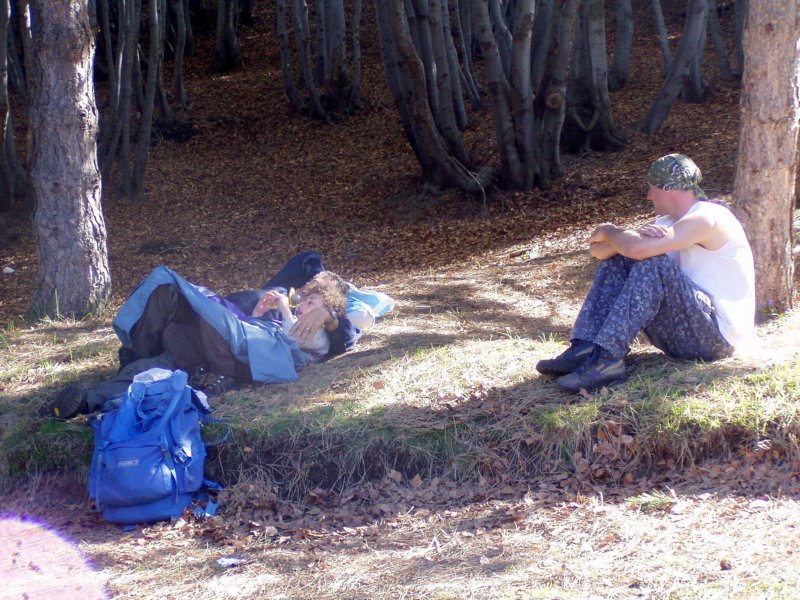 p5091039.jpg