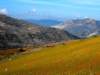 dscf0220_small.jpg
