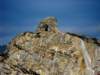 dscf0249_small.jpg