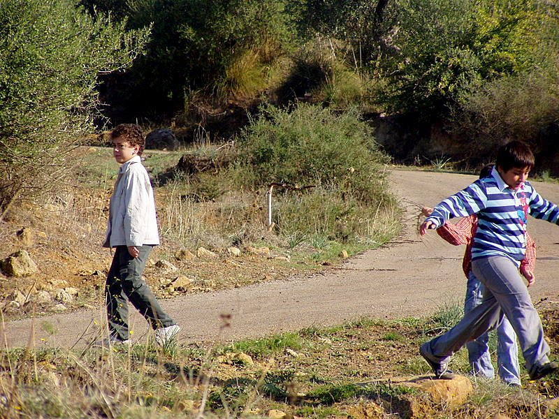pa250430.jpg