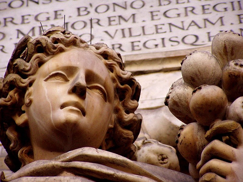 p6070045.jpg